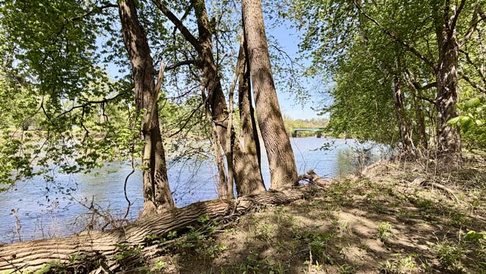 Riverfront land along Muskingum River in Coshocton Ohio